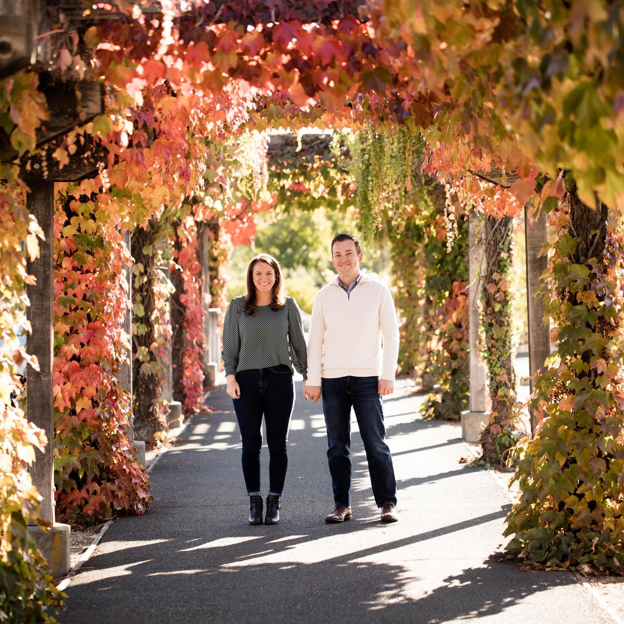 Yountville, CA. November 2020.