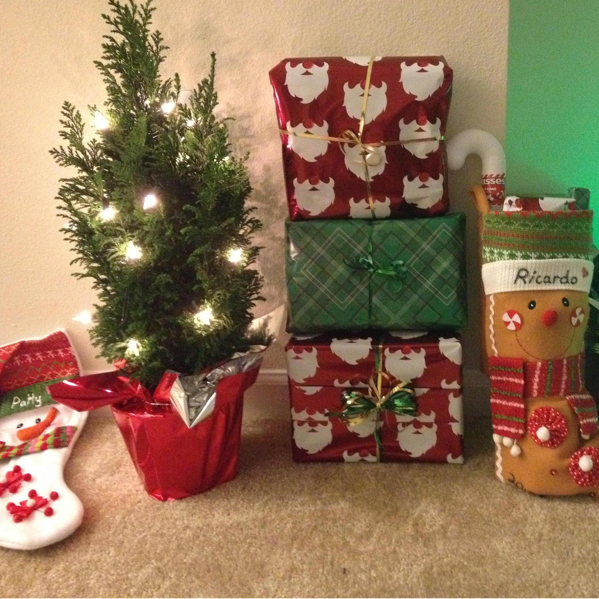 Our First Christmas Tree from our First XMas totgether.