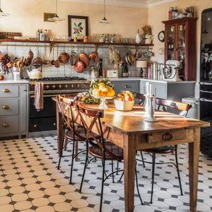 Kitchen/Mold Remodel Fund