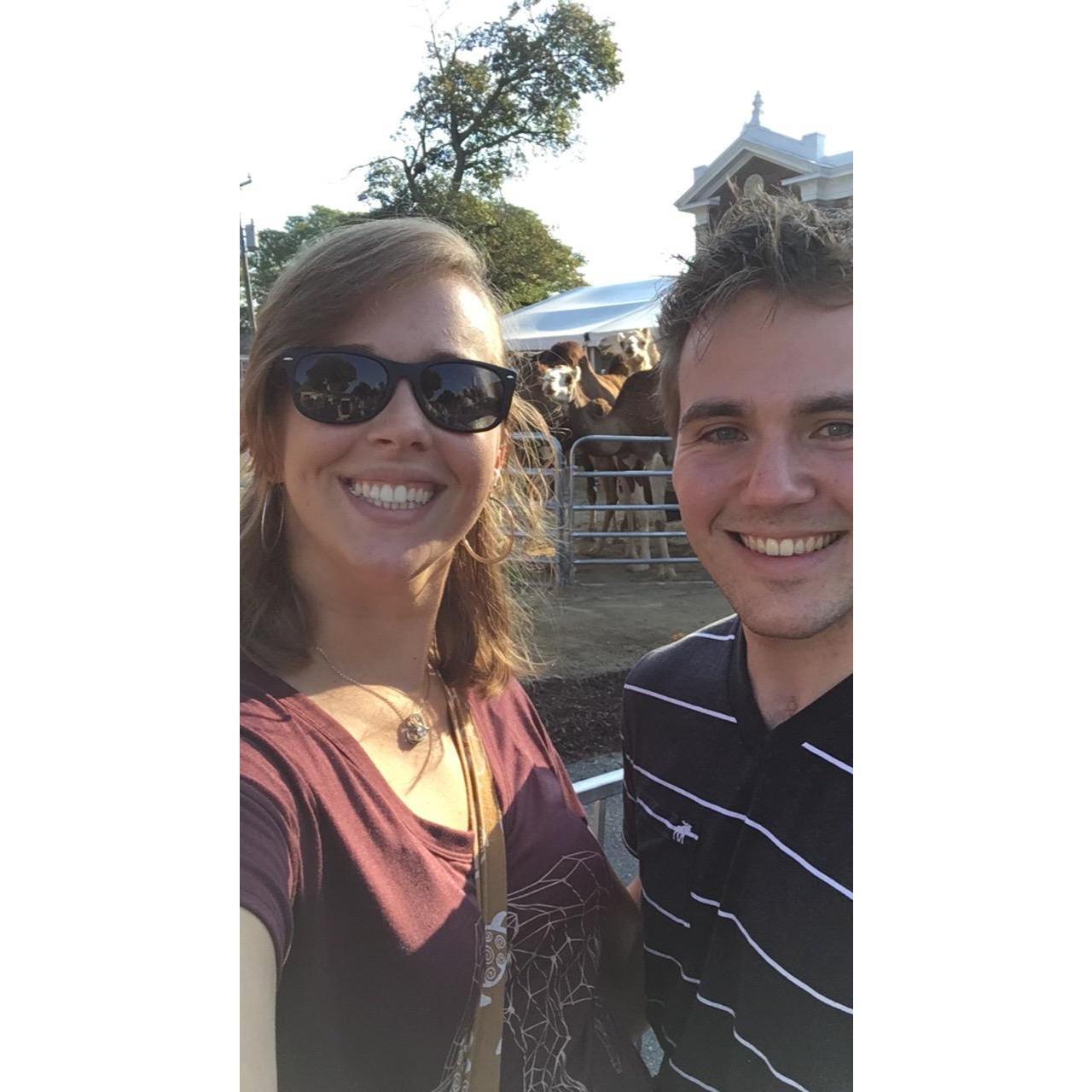 Camel friends at the Big E (9/16/2017)