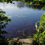 Lebanon Hills Regional Park
