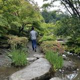 Seattle Japanese Garden