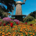 Queen Wilhelmina Garden