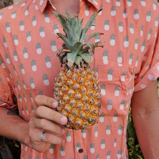 The Piña Coralada Men's Shirt