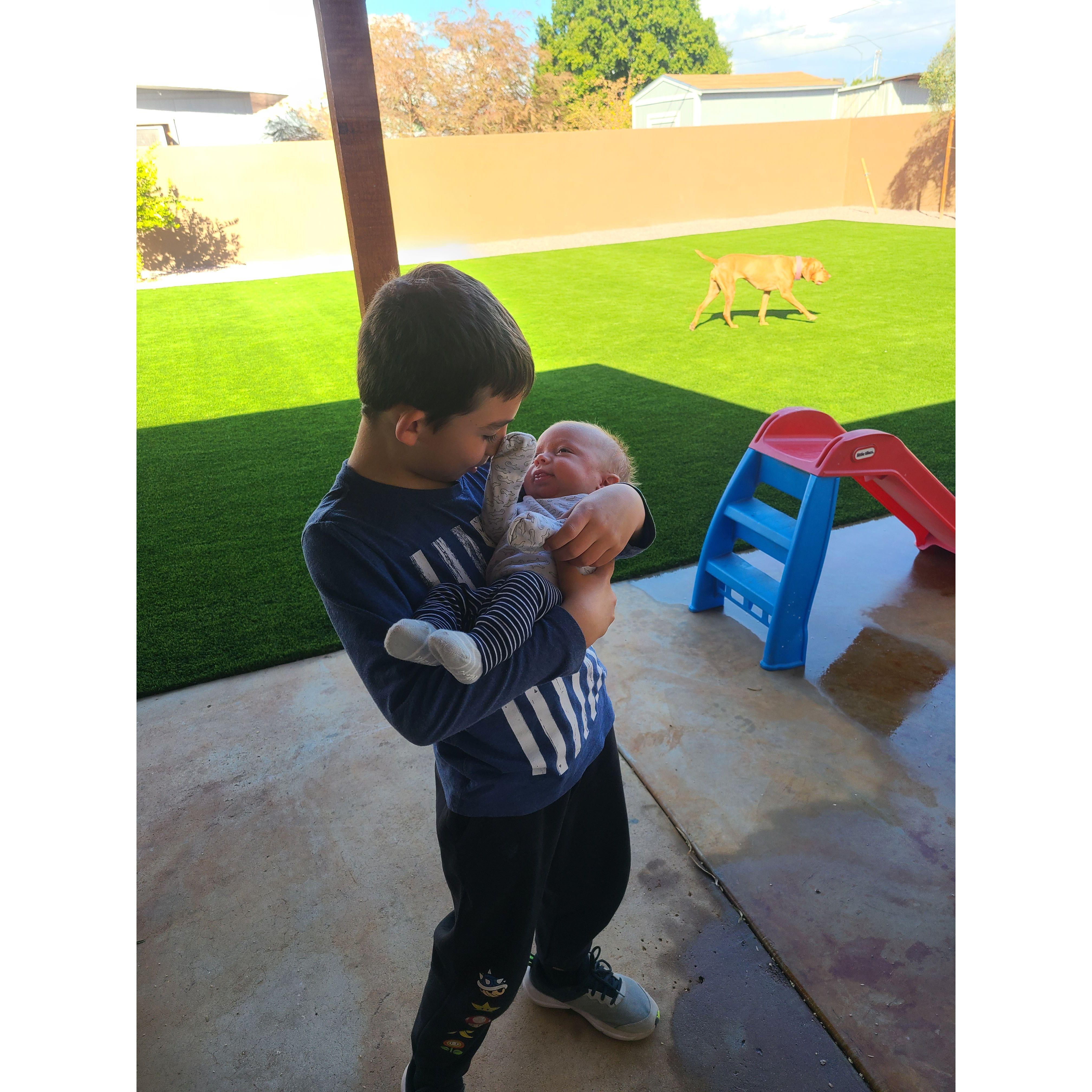 Jackson with his new baby brother Hayden. - Mesa, AZ