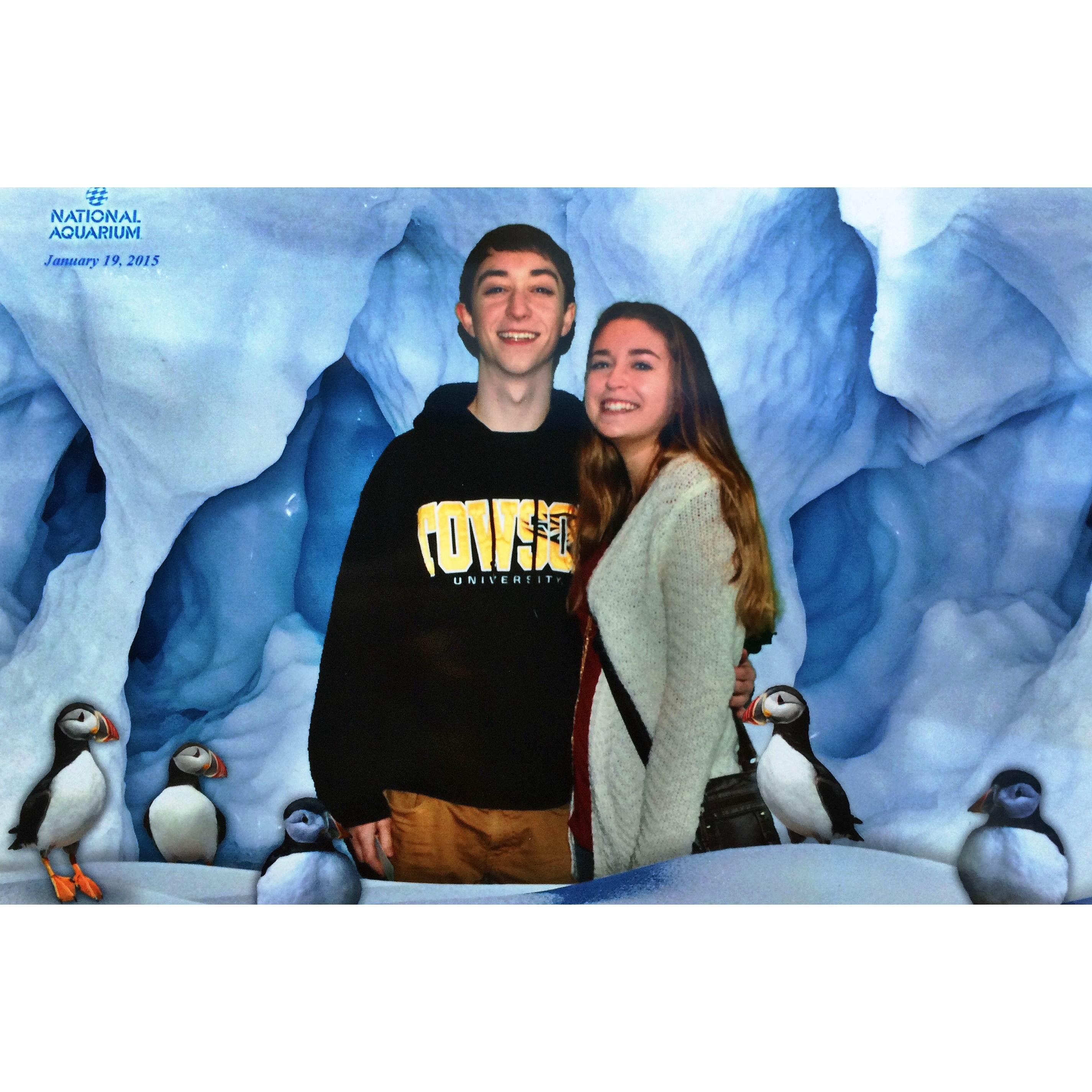 The only time we have been to the aquarium because Connor said "I do not want to pay money to look at fish"