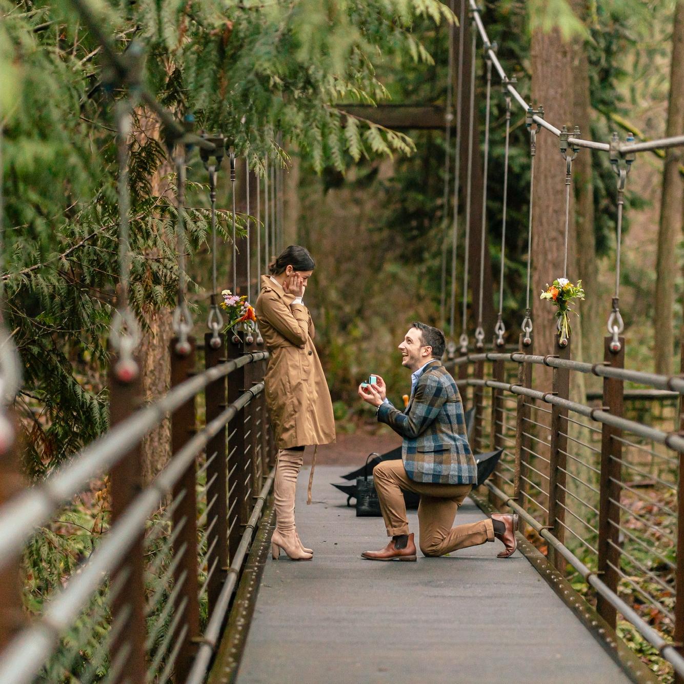 [Bellevue Botanical Gardens, WA | January 8th, 2023] After yelling "no, no, no", Elya gave a resounding YES <3