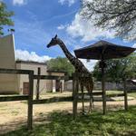 Henry Vilas Zoo