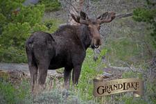 Take a stroll down Grand Avenue in the town of Grand Lake