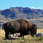 Antelope Island State Park