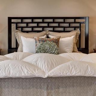 Diagon Winter European Down Comforter
