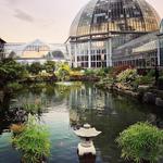 Belle Isle