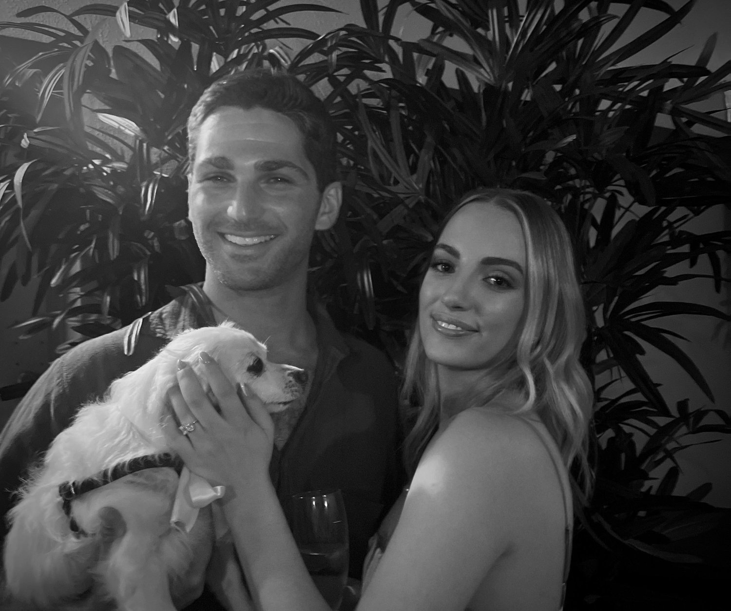 The Wedding Website of Courtney Coombs and Daniel Crestani