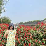 Hue Historic Citadel