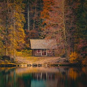 A Night in a Cozy Mountain Cabin