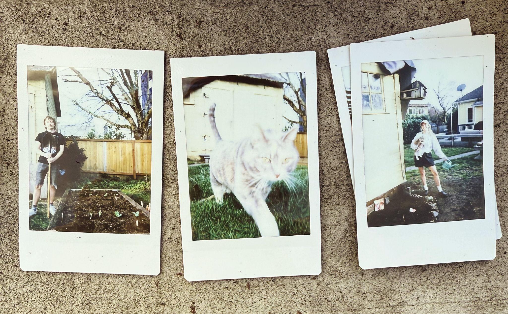 The Wedding Website of Avery Douglas and Joseph Walvatne