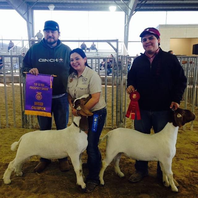 Bama was at every stock show supporting Vanezza.