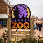 Denver Zoo