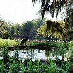 Middleton Place