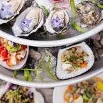 🦪Conchas de Piedra