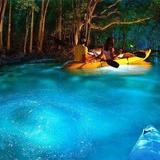 Bahia Bioluminiscente