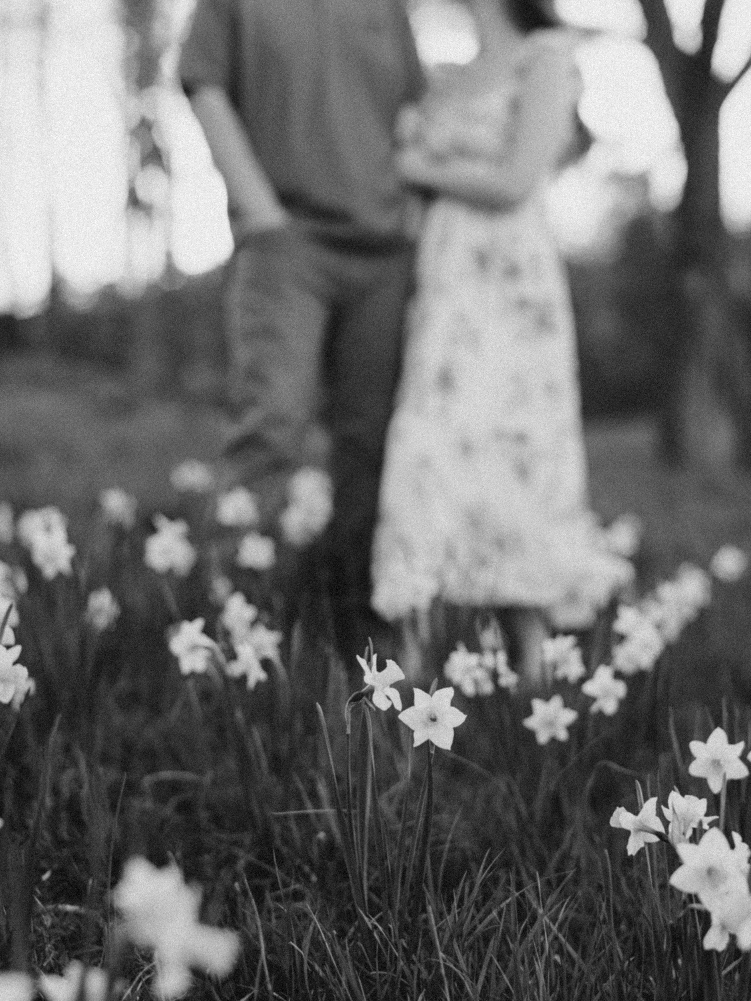The Wedding Website of Chloe Hargis and Hutton Adcock