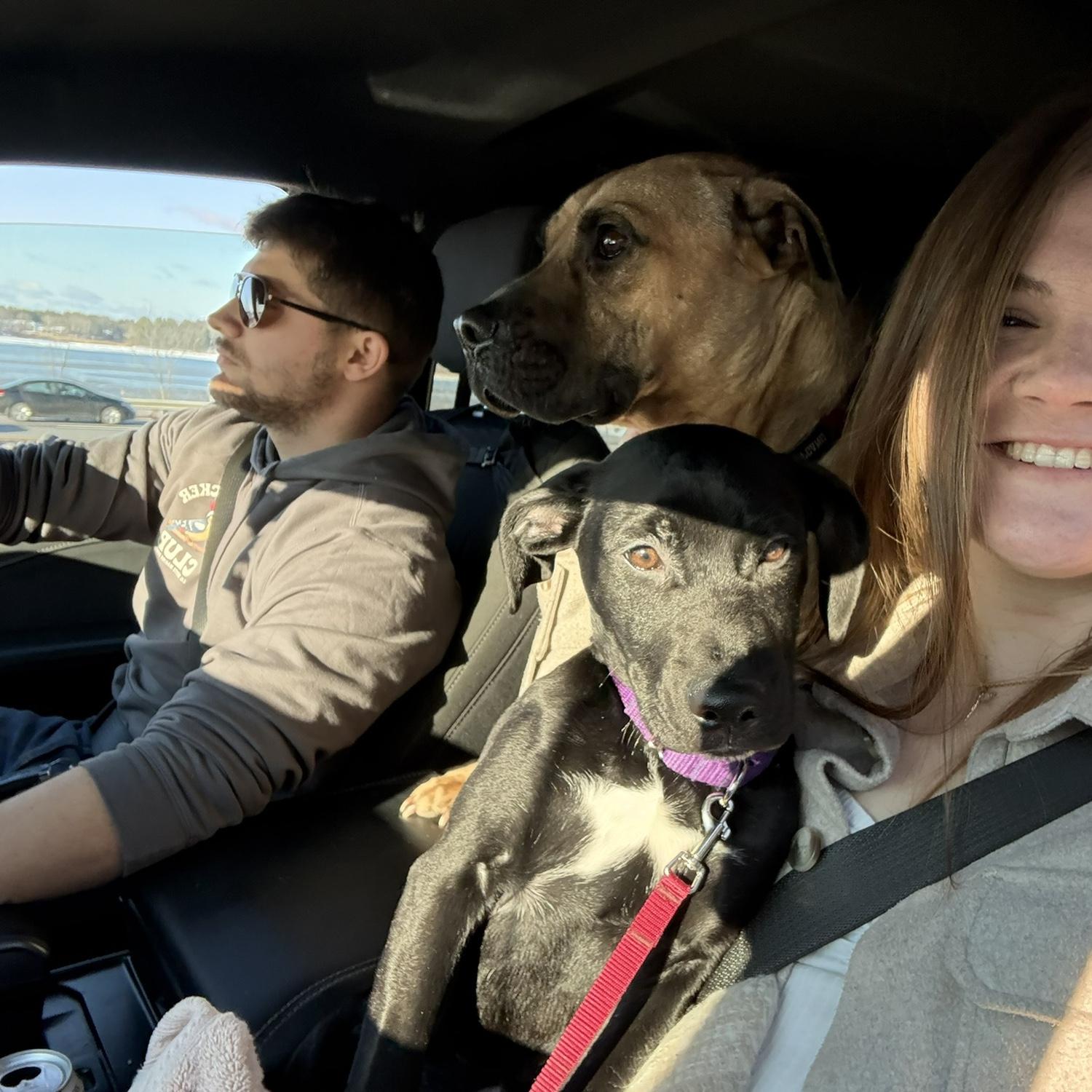 Family photo with a dash of chaos