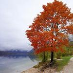Stay in Lake Bohinj