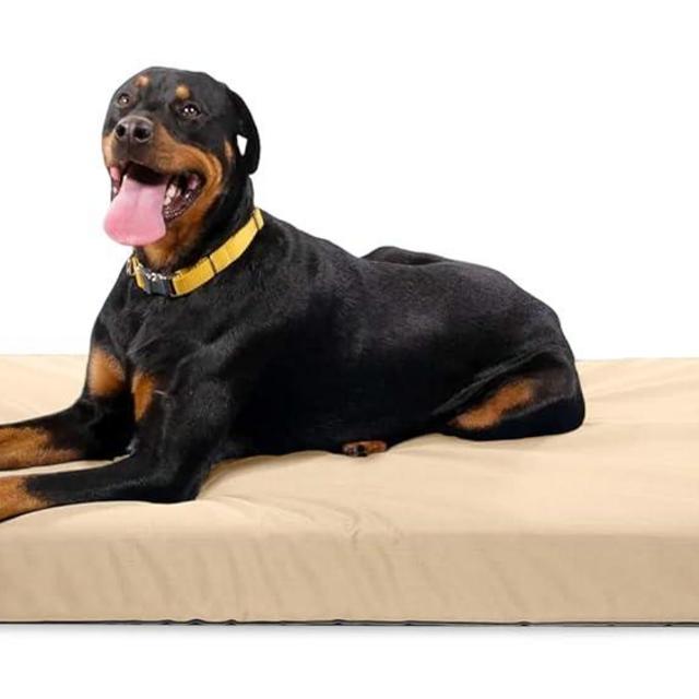 K9 Ballistics Tough Orthopedic Dog Bed Small Nearly Indestructible & Chew Proof, Washable Ortho Pillow for Chewing Puppy - for Size XL X-Large Dogs 54"x38", Sandstone