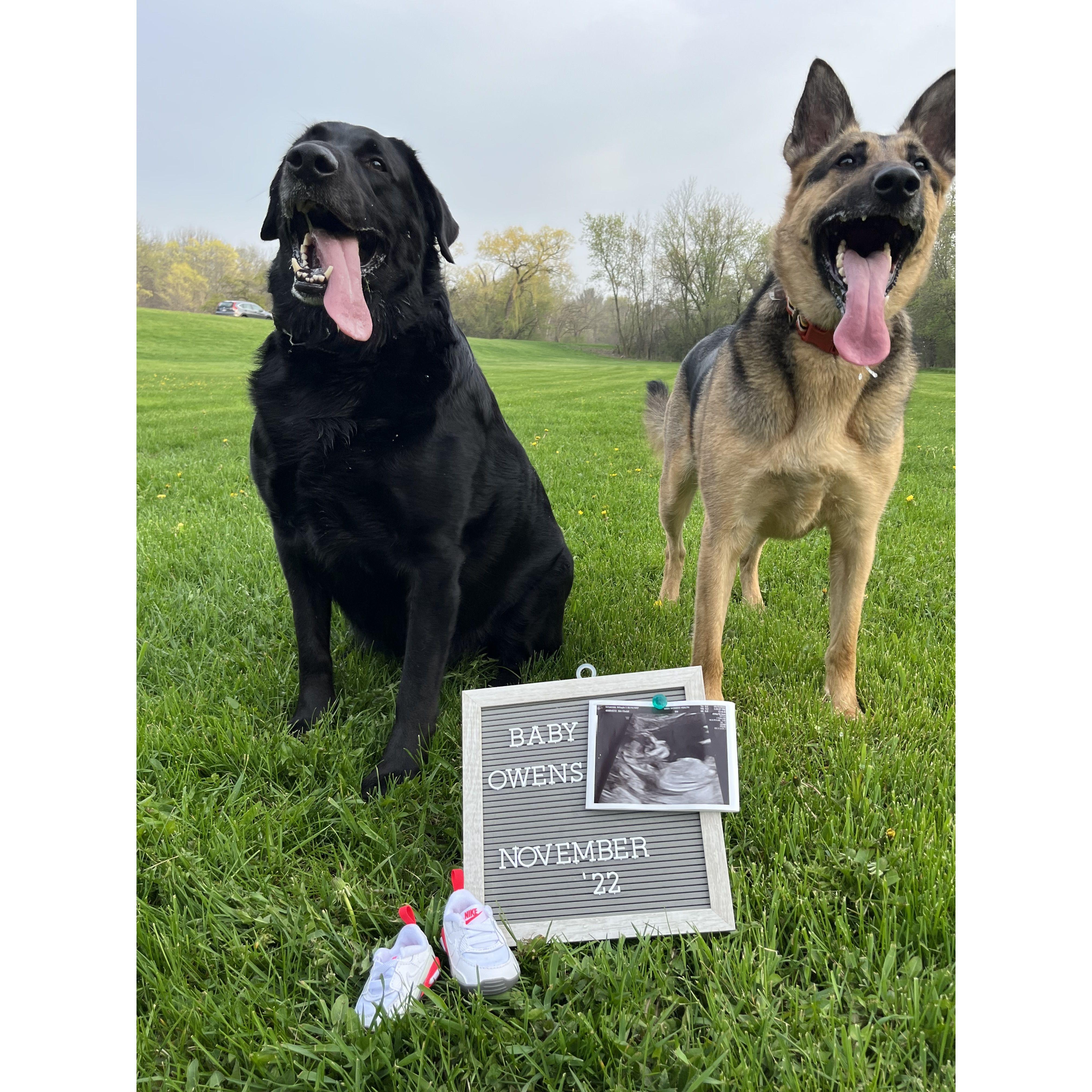 Pregnancy announcement
May 11th, 2022