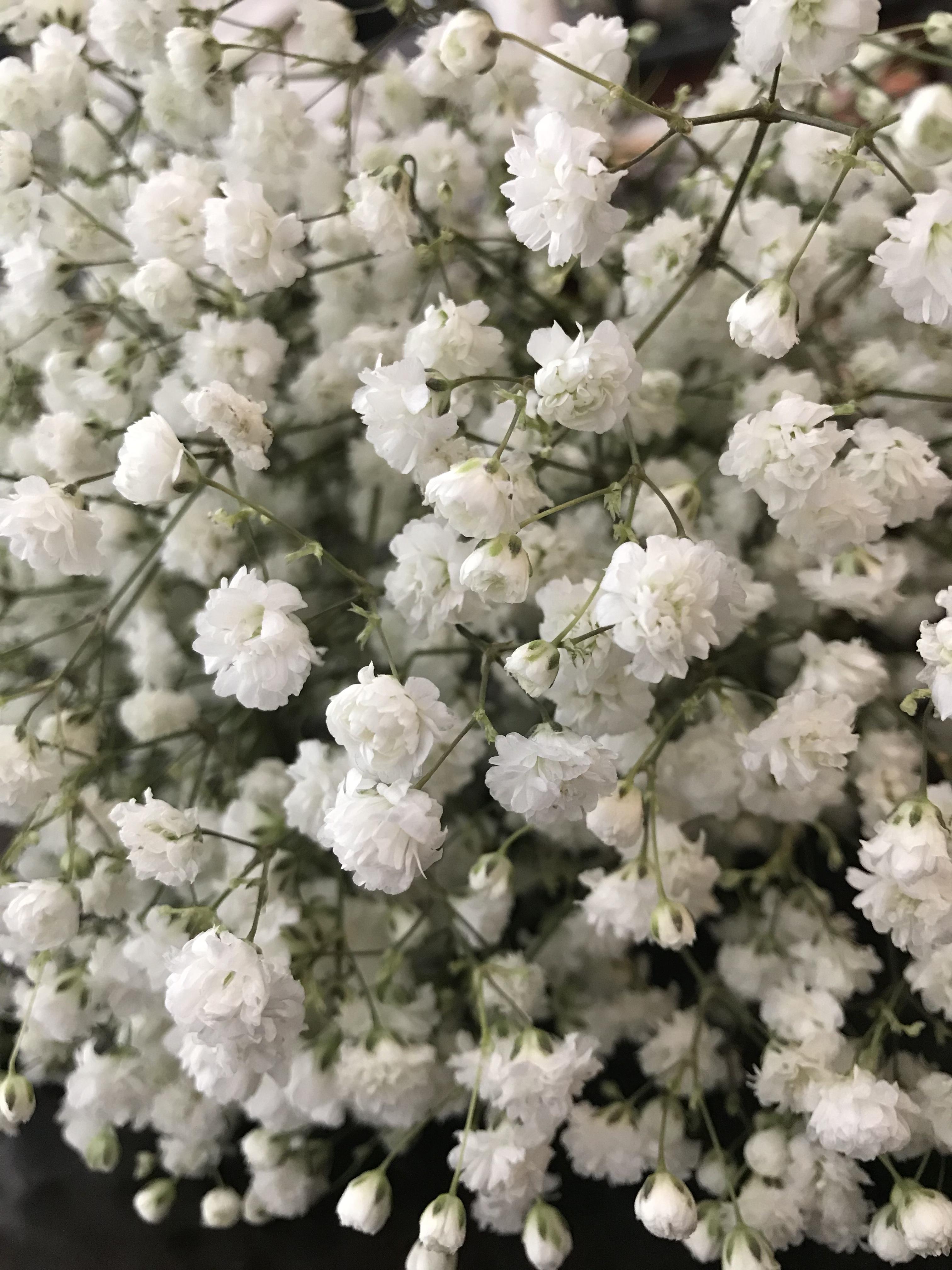 The Wedding Website of ANNIE NHAN and TRI LOI