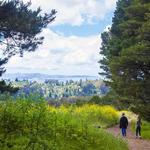 Tilden Regional Park