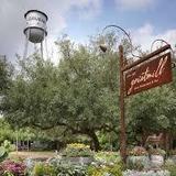 Gruene