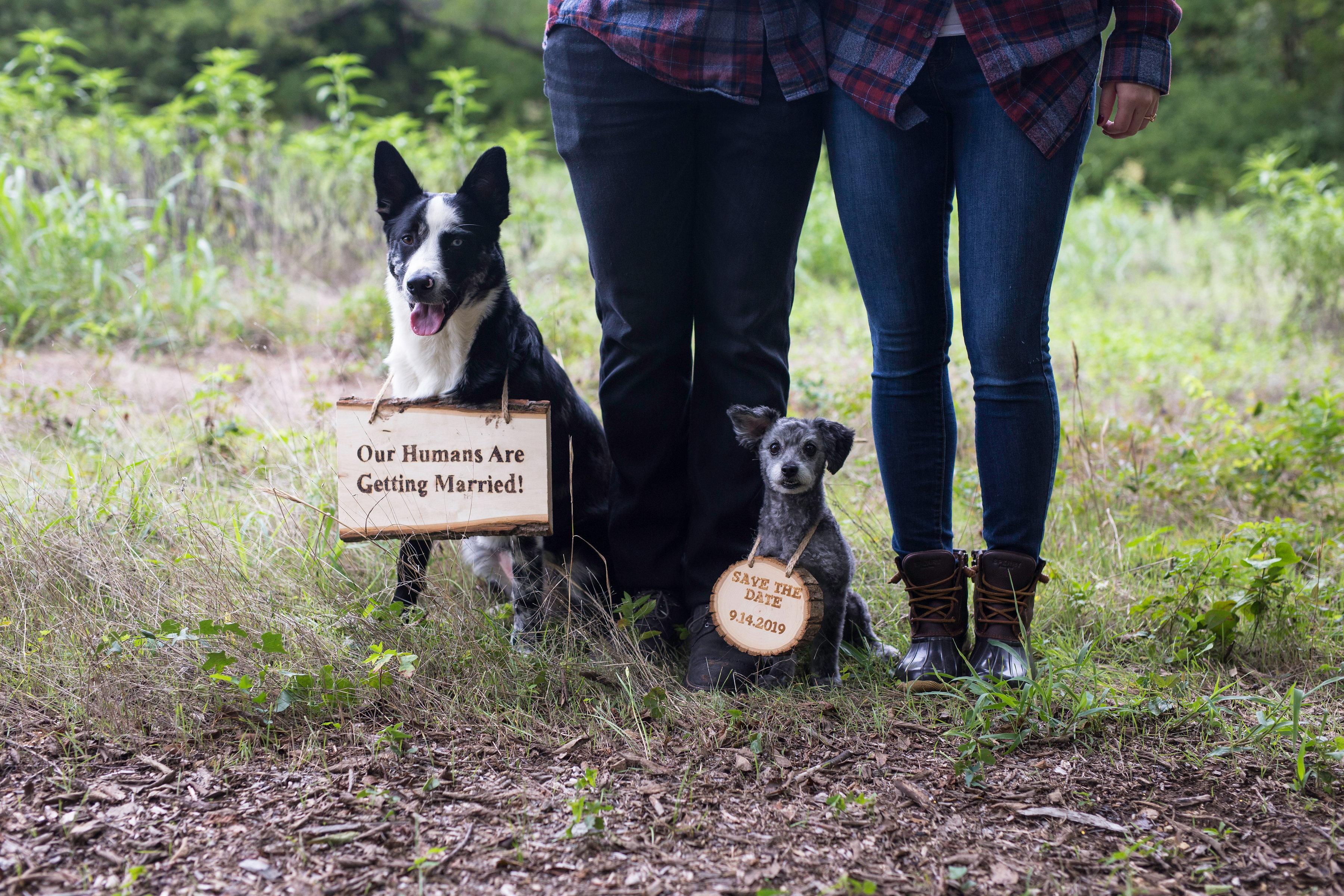 The Wedding Website of Brooke Johnston and Michael Sundermier
