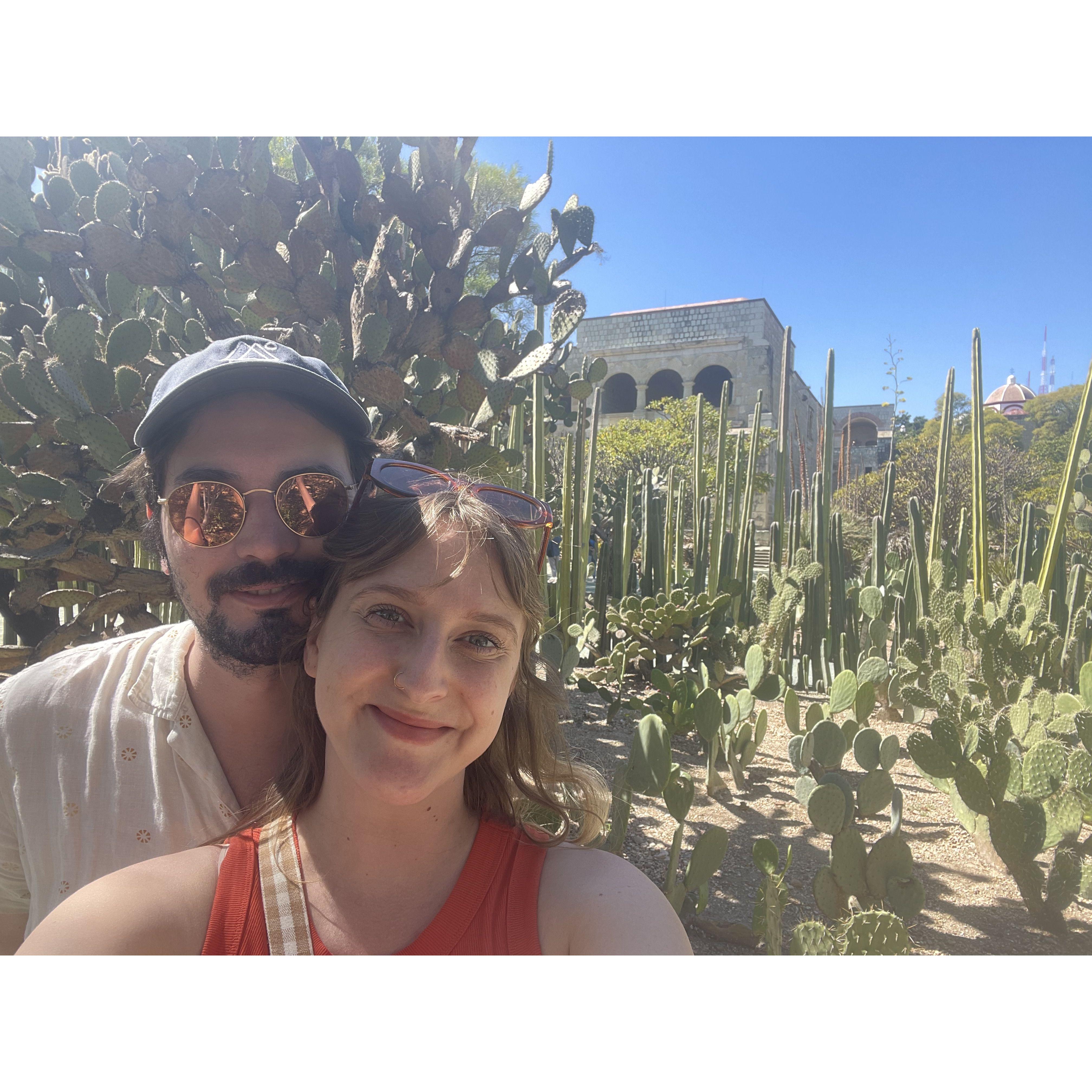 Botanial garden in Oaxaca
