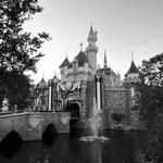 Disneyland Park