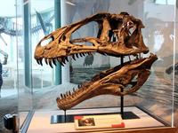 North Carolina Museum of Natural Sciences