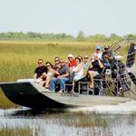 1 Day Trip to The Everglades