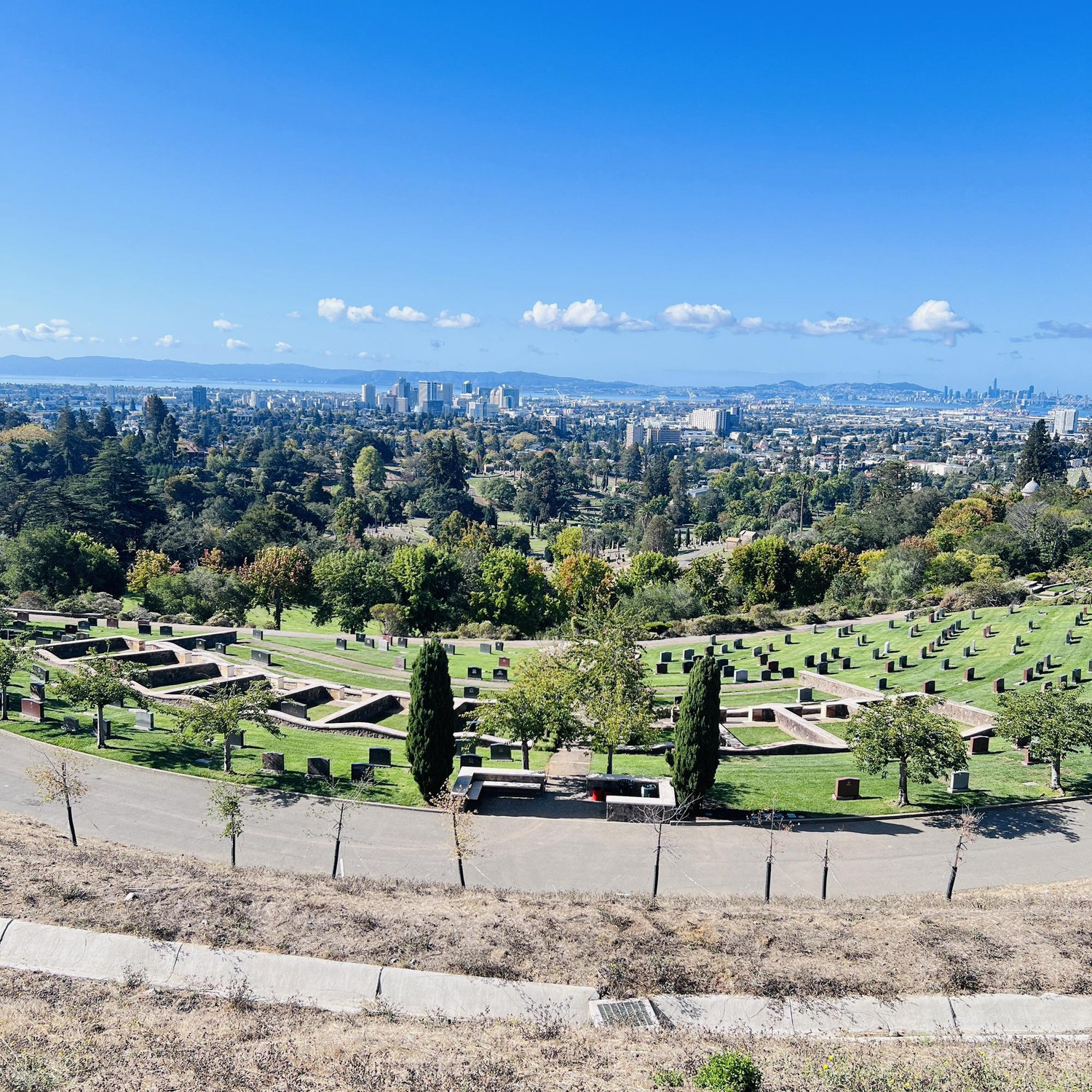 Piedmont cemetery famous for the views in Oakland California