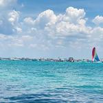 Crab Island