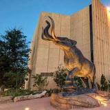 Denver Museum of Nature & Science
