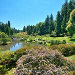 Washington Park Arboretum