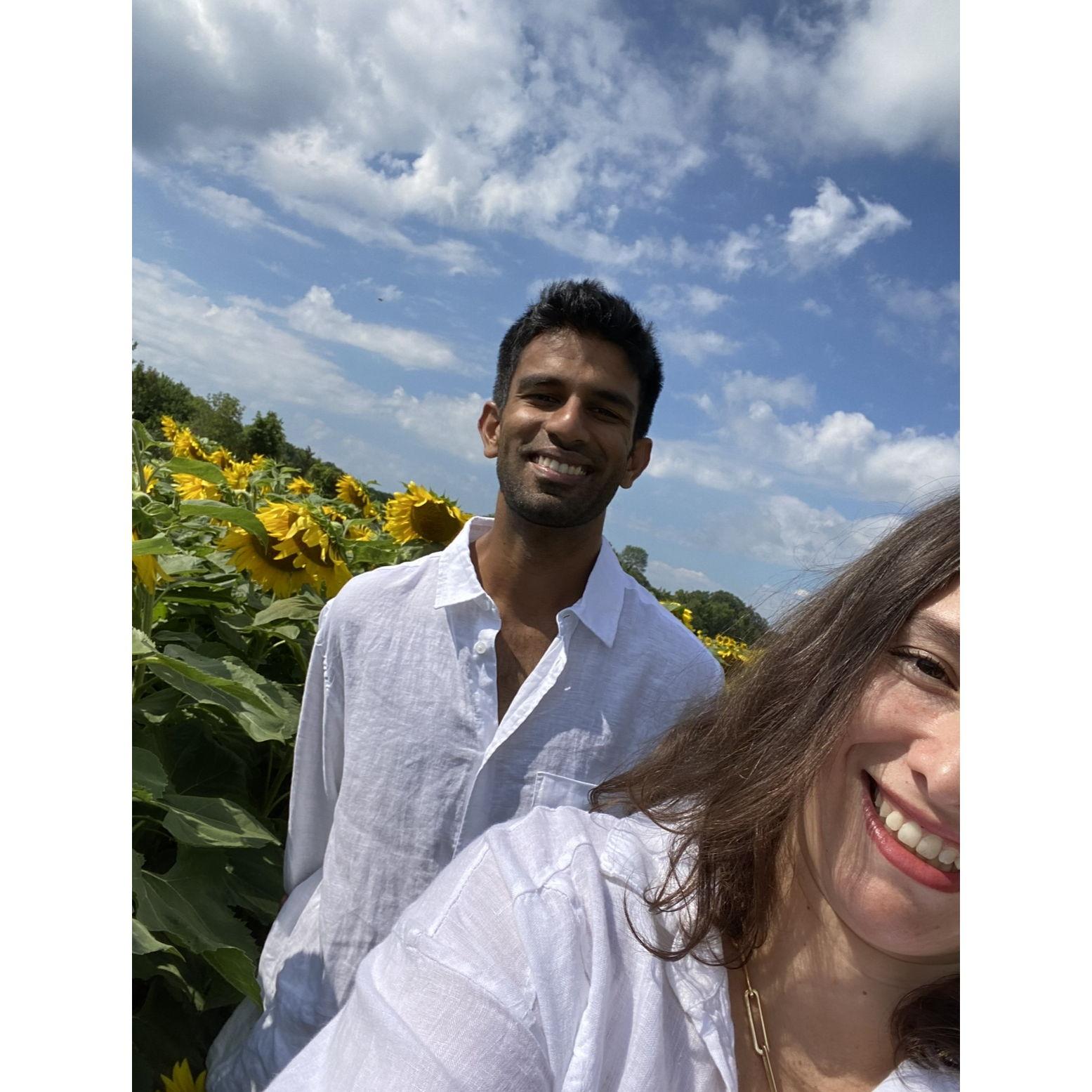 Sunflower Field.