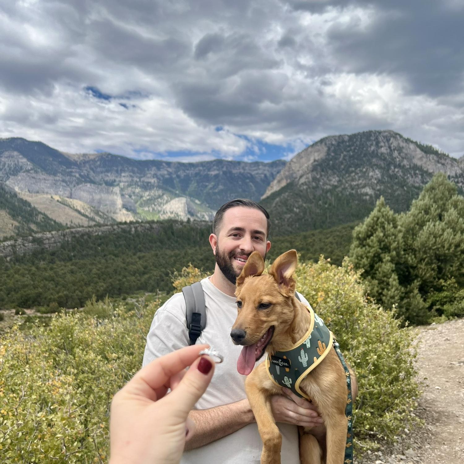 Matt popped the question to Sarah on their pups (Bandit) first hiking adventure 💍