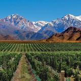 Mendoza