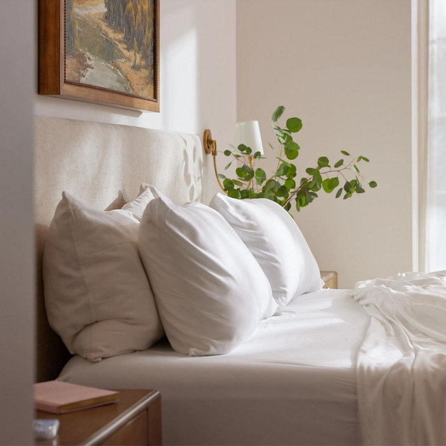 Cozy Earth Bamboo Sheet Set, California King