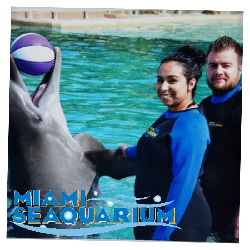 Seaquarium, Miami, Florida