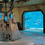 The Dig & Atlantis Marine Habitat (Aquarium)