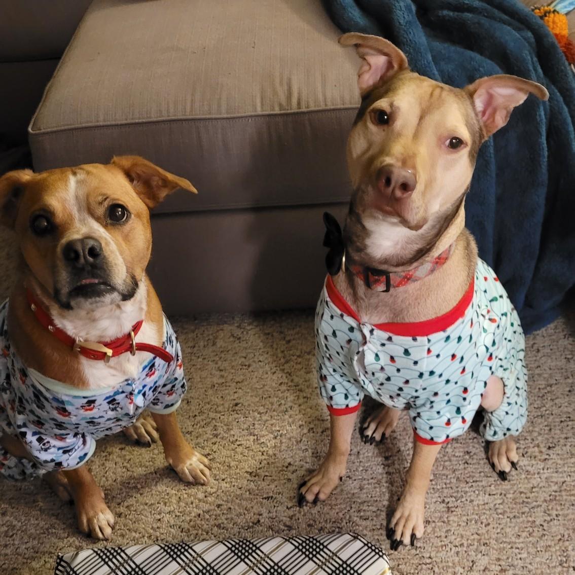 Ludo & Joy, Christmas, 2020