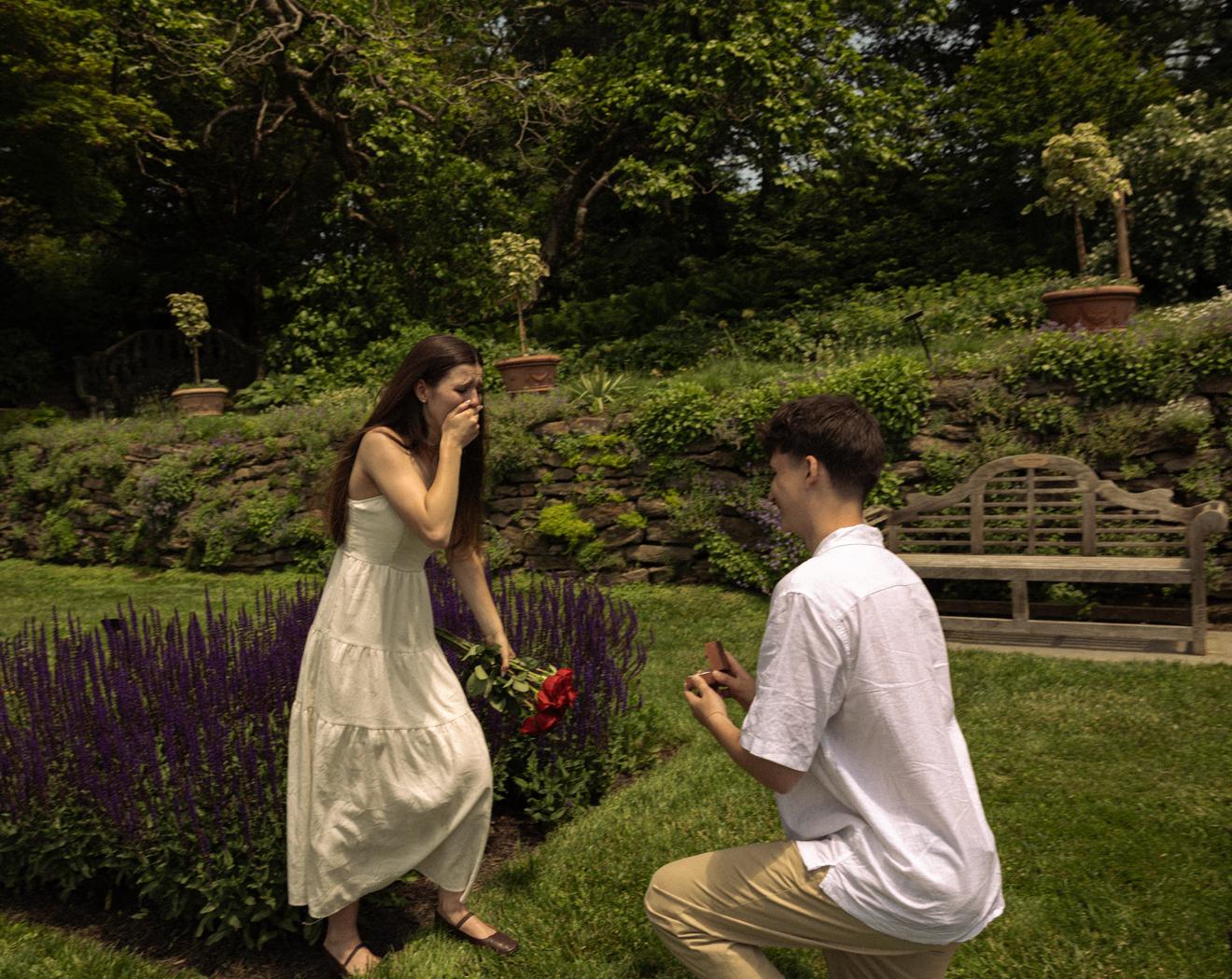 The Wedding Website of David Strokachenko and Abigail Dingler